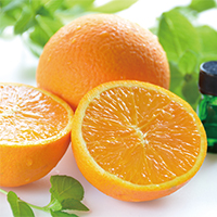 ペパーミント／オレンジ・スイート精油の香りが小学生の計算ミスとストレス軽減に寄与