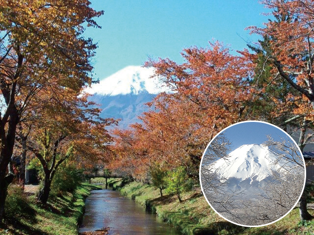 富士山をバックに、四季折々の美しさを見せてくれる新名庄川の散策路。春、桜の花とともに始まり、新緑、紅葉、そして雪に覆われた静かなたたずまいも魅力的です。