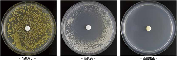 公社 日本アロマ環境協会 アロマを楽しむ アロマの研究 調査 アロマサイエンス研究所 精油の制菌作用