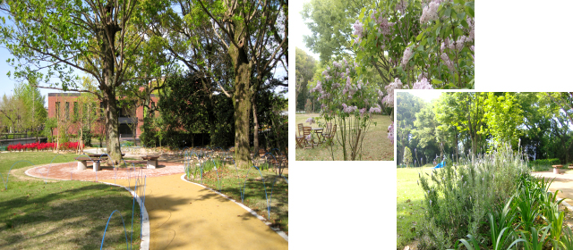 文化と芸術と一緒に、植物の香りも楽しめます／園内に咲いたラベンダーとライラック （写真提供：（公財）久留米文化振興会）