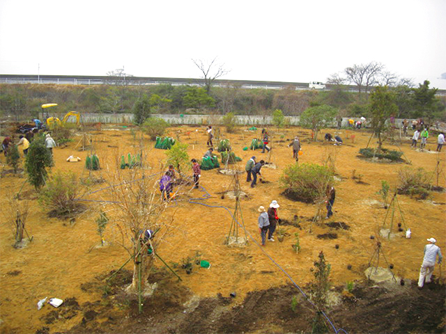 ボランティアの方たちによって、広大な公園内に約2000本の植樹が行われました。