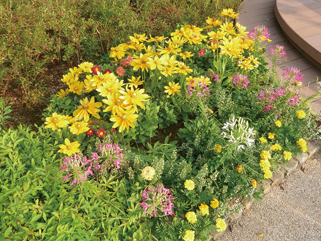 グリーンスタッフによって季節ごとの花が植え替えられている花壇は、常に訪れた人たちにやすらぎを与えてくれる。