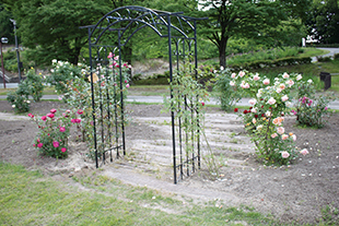 入り口をバラ園にし、視覚的な誘導を図る。