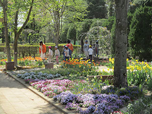 王国自然クラブの児童たちも香る花に興味津々。