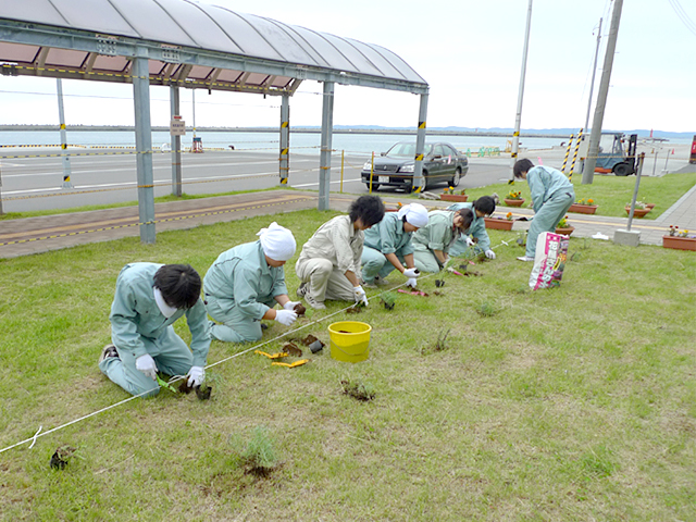 クレマチスなどの苗を植える学生さん （写真提供：稚内市歴史・まち研究会／北海道職業能力開発大学校）