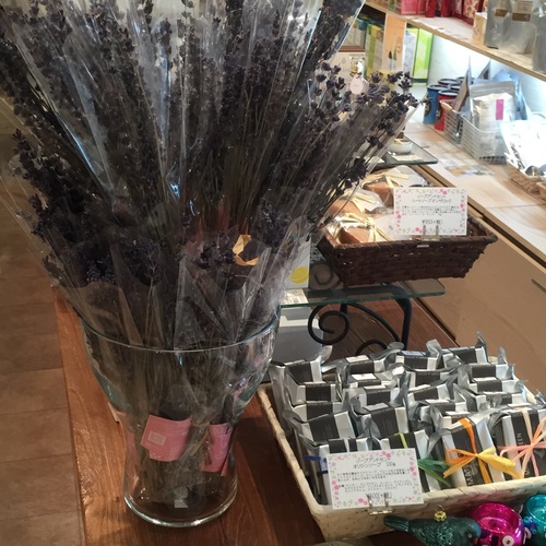 ハーブギャラリー四谷店Jopres-ジョプレ-